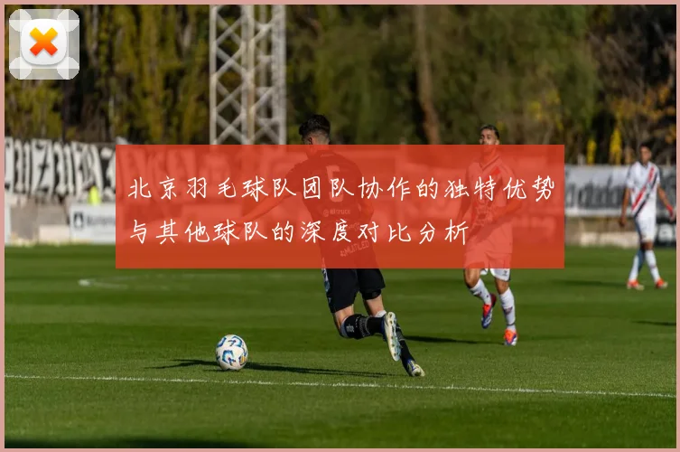 北京羽毛球队团队协作的独特优势与其他球队的深度对比分析